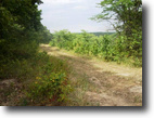 Iowa Farm Land 227 Acres 227 ac Secluded Whitetail Paradise!
