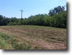 28.50 Acres Shepardsville Hwy