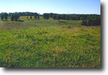 Tennessee Ranch Land 67 Acres TN Farm - Cabin, Springs, Ponds & Pasture!