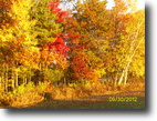 32 Acres- riverfront,woods and ag