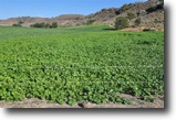 Idaho Ranch Land 342 Acres Once in a lifetime opportuntiy!