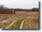 210 Acre Tall Tine Timber Tract