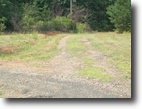 Virginia Hunting Land 4 Acres All Wooded With Spring!