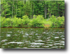 Ontario Hunting Land 1 Acres 1,750 AC Forest Land Waterfront $1,800,000