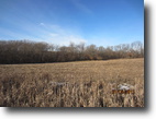 107 Acre Combo Farm Wapello County