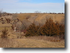 Iowa Farm Land 257 Acres 257 Ac Multi Purpose Wapello County Farm