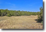 Colorado Horse Farm 6 Acres This could be the PERFECT setting!