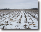 Iowa Farm Land 114 Acres 114 ac Tillable Farm-Wapello C IA