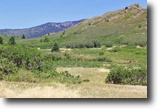 Bank Owned 5 Acre Alpine Property