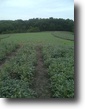 277 Acre Prime Hunting with Income!