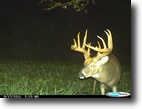Iowa Farm Land 569 Acres The Finest Monroe County has to Offer!!