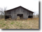 26 Acres on Creed Hestand Road