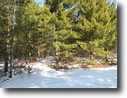 40 Acre Wooded Parcel