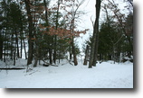Wisconsin Land 1 Acres Gorgeous wooded lake view lot !