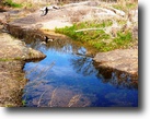 Little Piece of Heaven! 40 Acres