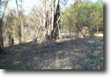 West Virginia Farm Land 44 Acres 00 Clay Lick Road  MLS 102259
