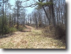 Ohio Hunting Land 83 Acres Shade Forest Retreat, Meigs County, OH