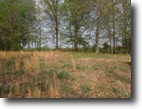 24.55 Acres on 565 Sunset Ridge Lane