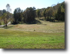 Tennessee Land 11 Acres 3 Adjoining Building Lots for Sale