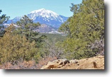 Bank Owned 35 acres in Southern Colorado