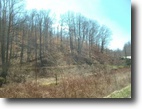 Kentucky Hunting Land 80 Acres Attn:Hunters 80+/- Isonville $89,900