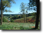 3.88 Private & Secluded Acres