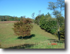 3.39 Private and Secluded Acres