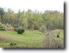 2+ Private and Secluded Acres