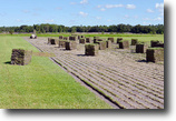 Florida Land 291 Acres Osceola Sod Farm