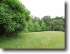 49.75 Acres on Star Point Rd.