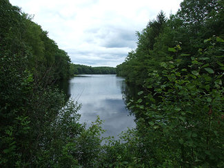 Virginia Waterfront 339 Acres Sealed-Bid Real Estate Auction-Camp Tadma
