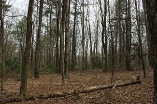 8.254 Acres Near Golf Course