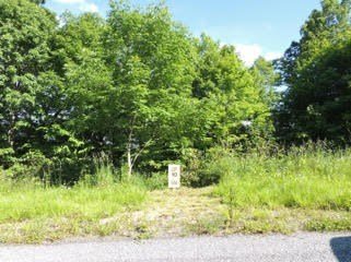 9.4 Acres Adjacent to Mount Rogers